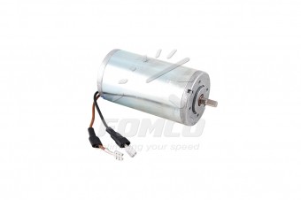 Motor Webasto DBW 2010/2012 24V