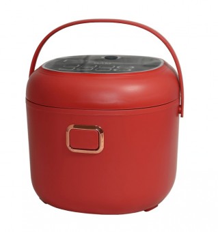 MULTICOOKER fryer 12V/24V incalzire mancare 2LITRI