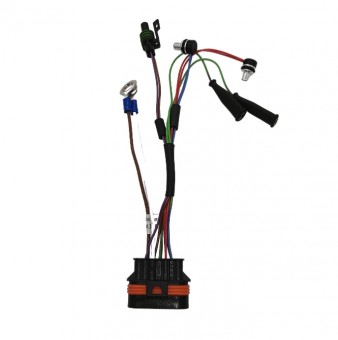 Senzor supraincalzire cu cablaj Eberspacher Hydronic D/4/5W SC