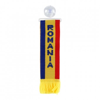 Stegulet parbriz Romania 98526