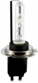 Bec Xenon H7 4.3K