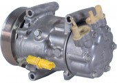 Compresor SD6V12 CITROEN C2-C3/PEUGEOT 1007