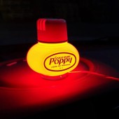 Lumina LED RGB pentru parfum POPPY 12/24v USB