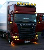 Lumini LED, LED pentru SCANIA, SCANIA P-G-R-T 2004+ GALBENE