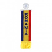 Stegulet parbriz Romania 98526