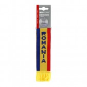 Stegulet parbriz Romania 98526
