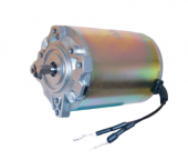 Webasto Motor pentru DBW 2016/2020 24V